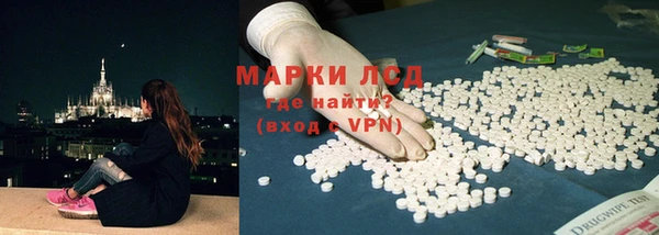 прущие грибы Алзамай