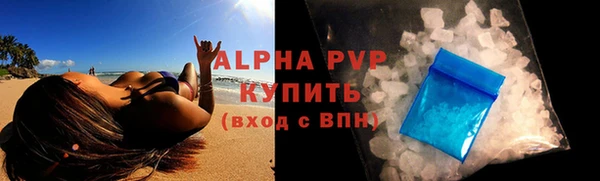 прущие грибы Алзамай