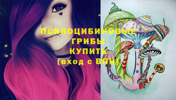 бутират Медногорск