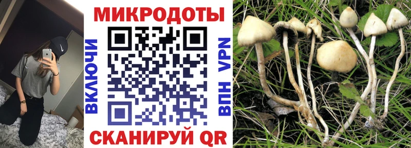 darknet телеграм  цены наркотик  mega зеркало  Муром  Псилоцибиновые грибы Psilocybe 