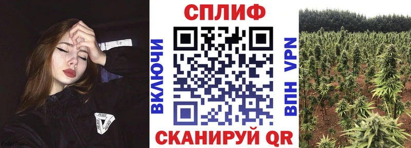 Бошки Шишки MAZAR Муром